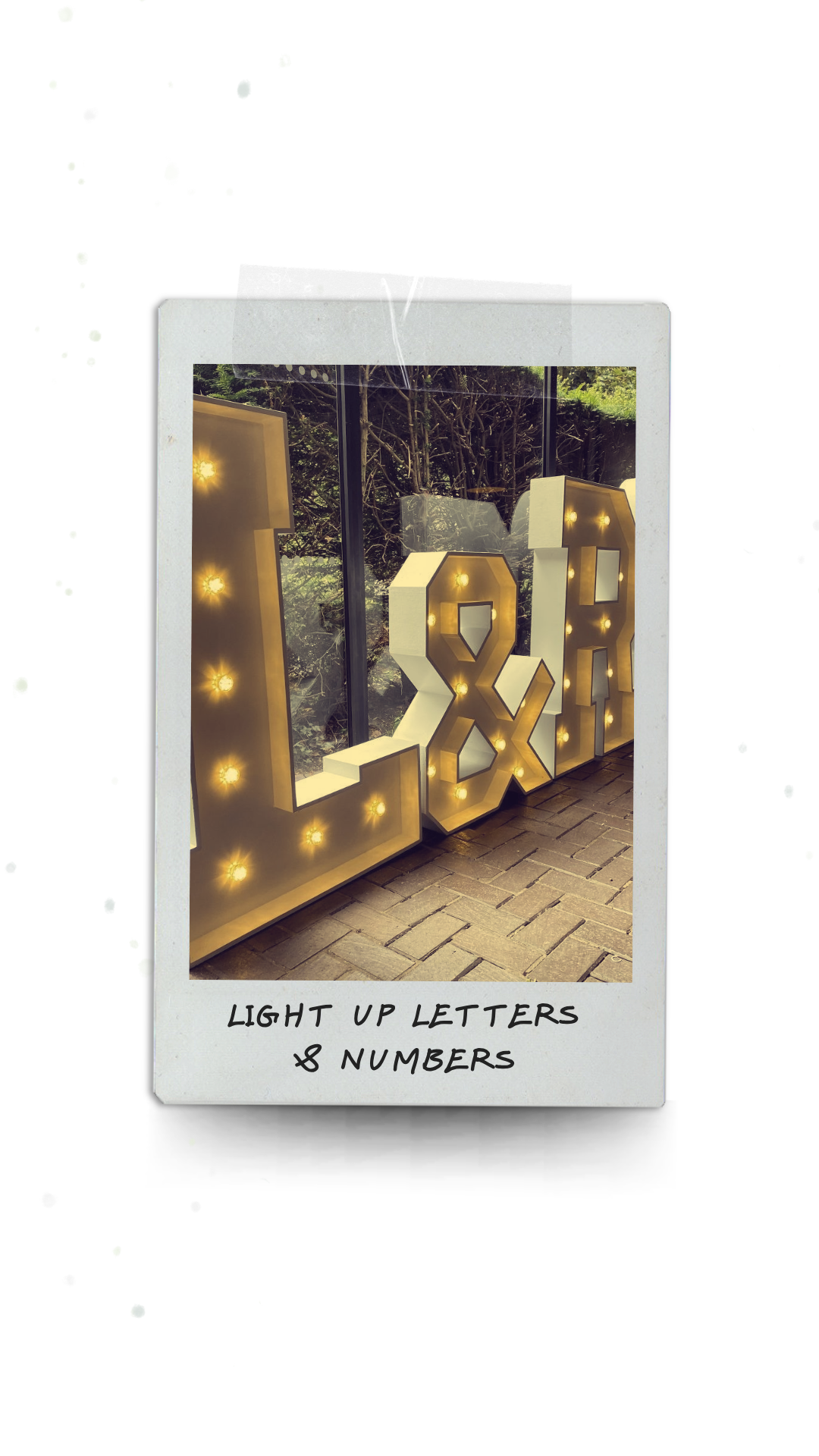 Light Up Letters & Numbers